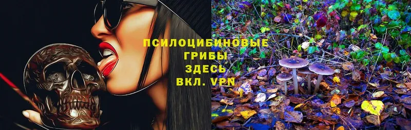 shop формула  Бабаево  Галлюциногенные грибы MAGIC MUSHROOMS 